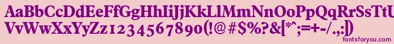 FranciscoserialXboldRegular Font – Purple Fonts on Pink Background