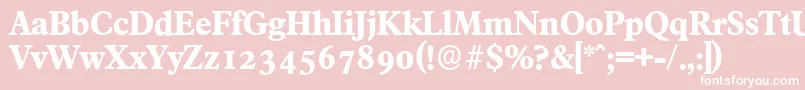 フォントFranciscoserialXboldRegular – ピンクの背景に白い文字