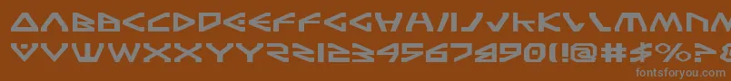 TerraFirmaExpanded Font – Gray Fonts on Brown Background