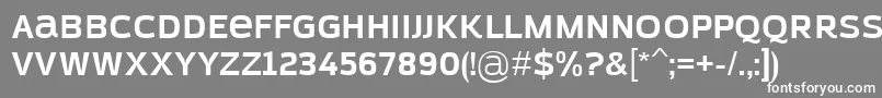 AzoftSansBold Font – White Fonts on Gray Background