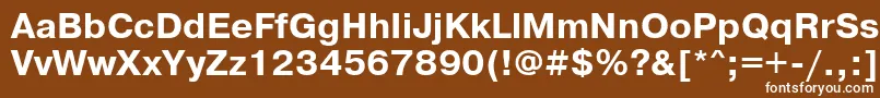 フォントPragmaticacttBold – 茶色の背景に白い文字