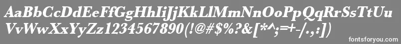 UrwbaskertextbolextnarOblique Font – White Fonts on Gray Background