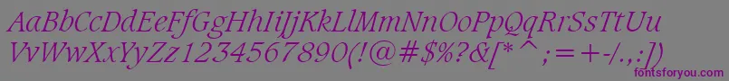 CaxtonLightItalicBt-Schriftart – Violette Schriften auf grauem Hintergrund