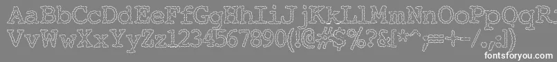 フォントElecha ffy – 灰色の背景に白い文字