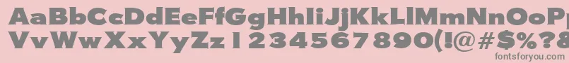 Wasserman Font – Gray Fonts on Pink Background