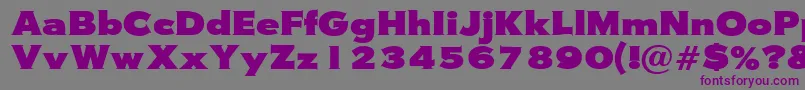 Wasserman Font – Purple Fonts on Gray Background