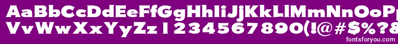 Wasserman Font – White Fonts on Purple Background
