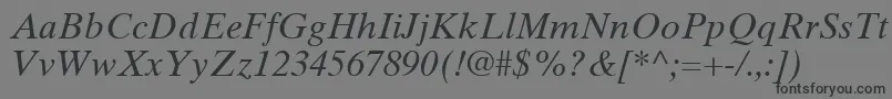 フォントTimesTenLtItalic – 黒い文字の灰色の背景