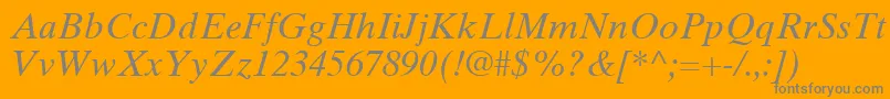 TimesTenLtItalic Font – Gray Fonts on Orange Background