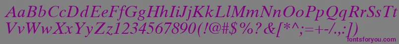 TimesTenLtItalic-Schriftart – Violette Schriften auf grauem Hintergrund