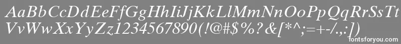 フォントTimesTenLtItalic – 灰色の背景に白い文字