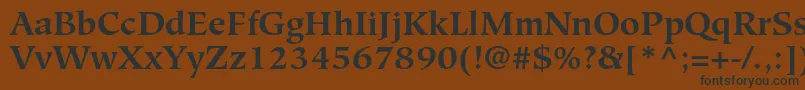 HiroshigestdBold Font – Black Fonts on Brown Background