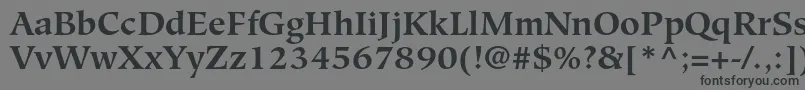 HiroshigestdBold Font – Black Fonts on Gray Background