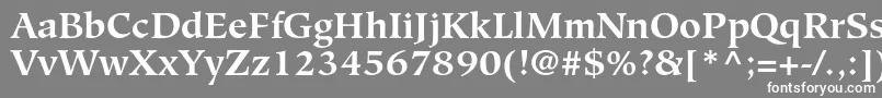 HiroshigestdBold Font – White Fonts on Gray Background