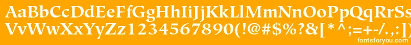 HiroshigestdBold Font – White Fonts on Orange Background