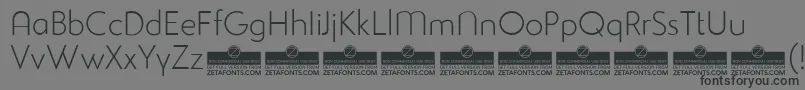 StudioGothicAlternateExtralightTrial Font – Black Fonts on Gray Background
