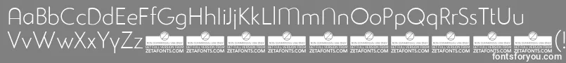StudioGothicAlternateExtralightTrial Font – White Fonts on Gray Background