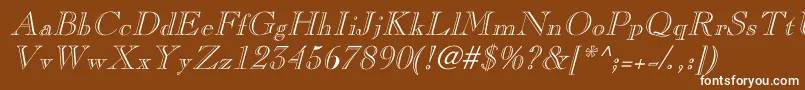 CaslonopenfaceItalic Font – White Fonts on Brown Background