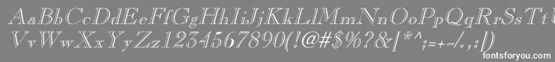 フォントCaslonopenfaceItalic – 灰色の背景に白い文字