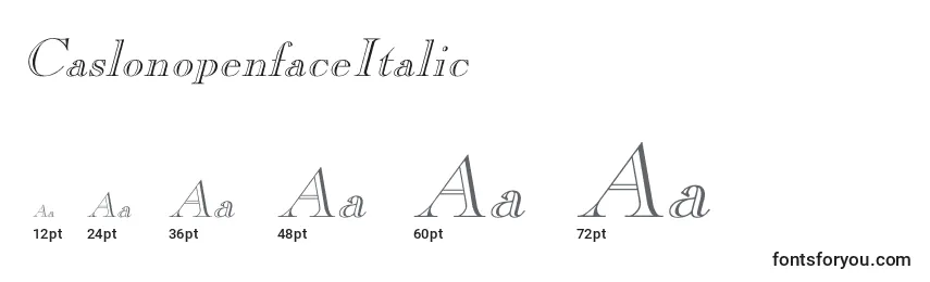 CaslonopenfaceItalic Font Sizes