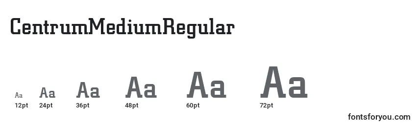 CentrumMediumRegular Font Sizes