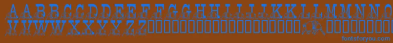 LmsStefsTexasFriend Font – Blue Fonts on Brown Background