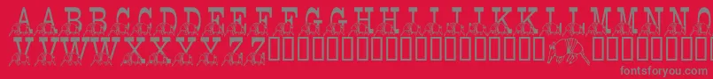 LmsStefsTexasFriend Font – Gray Fonts on Red Background