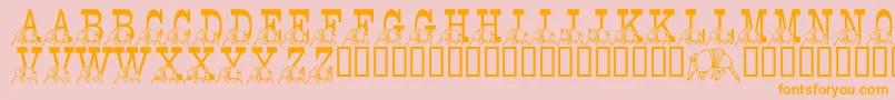LmsStefsTexasFriend Font – Orange Fonts on Pink Background
