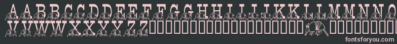 LmsStefsTexasFriend Font – Pink Fonts on Black Background