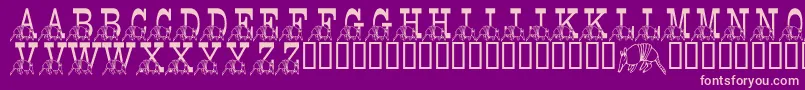 LmsStefsTexasFriend Font – Pink Fonts on Purple Background