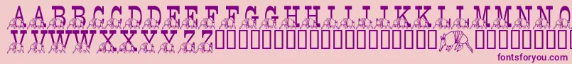 LmsStefsTexasFriend Font – Purple Fonts on Pink Background