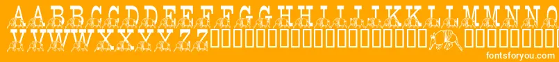 LmsStefsTexasFriend Font – White Fonts on Orange Background