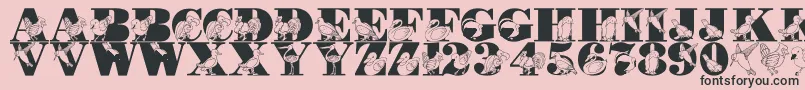 LmsBirdWatching Font – Black Fonts on Pink Background