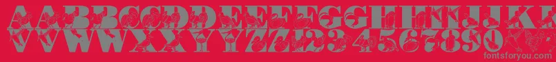 LmsBirdWatching Font – Gray Fonts on Red Background