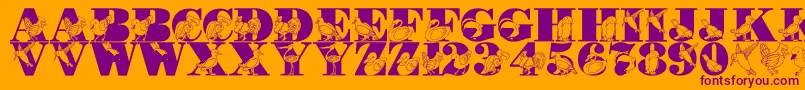 LmsBirdWatching-Schriftart – Violette Schriften auf orangefarbenem Hintergrund