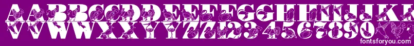 LmsBirdWatching Font – White Fonts on Purple Background