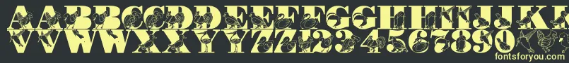 LmsBirdWatching Font – Yellow Fonts on Black Background