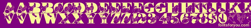 LmsBirdWatching Font – Yellow Fonts on Purple Background