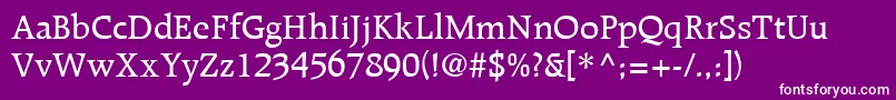 RaleighLtMedium Font – White Fonts on Purple Background