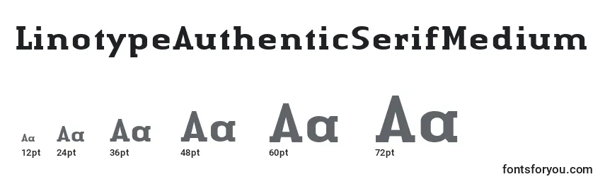 Размеры шрифта LinotypeAuthenticSerifMedium