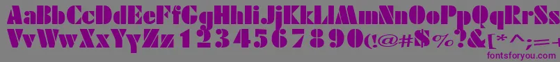 Excess Font – Purple Fonts on Gray Background