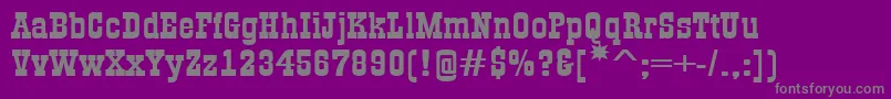 Шрифт AGildiaexpBold – серые шрифты на фиолетовом фоне