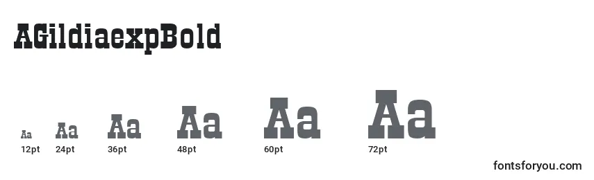 AGildiaexpBold Font Sizes