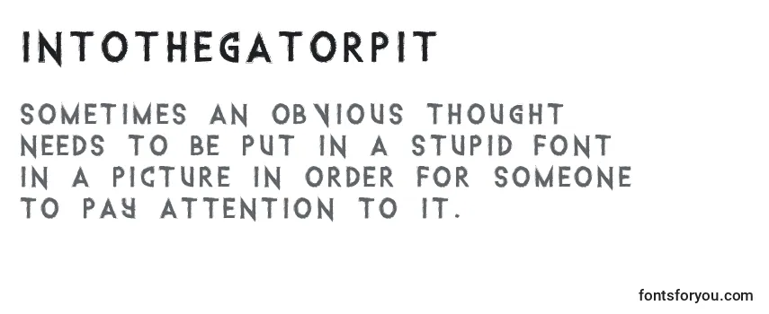 Review of the Intothegatorpit Font