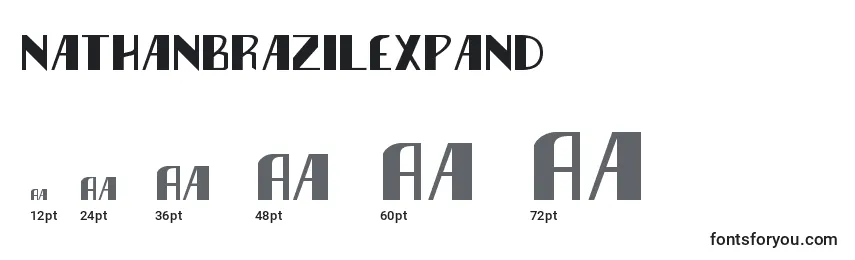 Nathanbrazilexpand font sizes