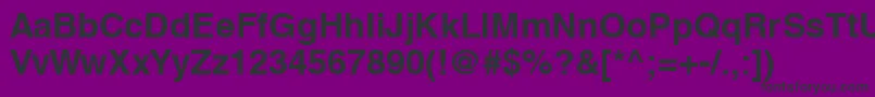 NewzuricaBold Font – Black Fonts on Purple Background