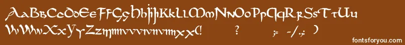 Dsuncialfunnyc-fontti – valkoiset fontit ruskealla taustalla