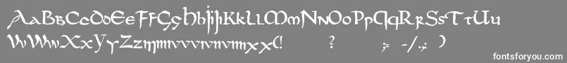 Шрифт Dsuncialfunnyc – белые шрифты на сером фоне