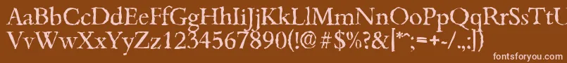 Police BambergrandomRegular – polices roses sur fond brun