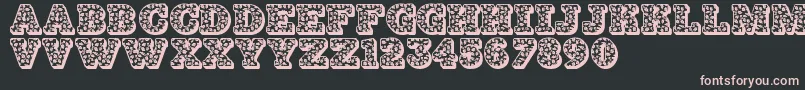Jfhollydayz Font – Pink Fonts on Black Background